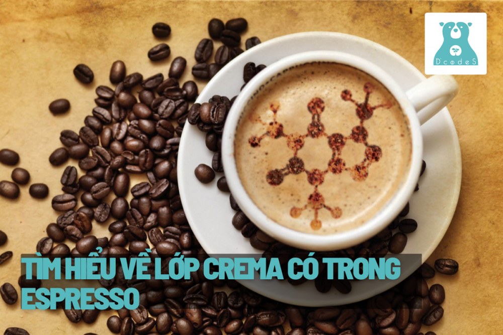 Crema là gì? Bạn đã biết hết về lớp crema có trong một tách Espresso?