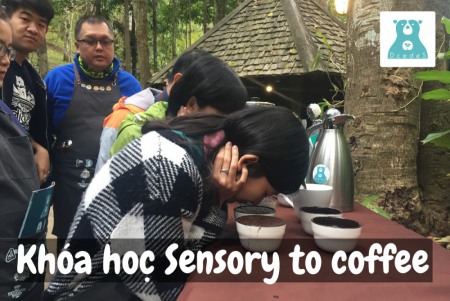 Khóa học Sensory to Coffee tại D’codeS