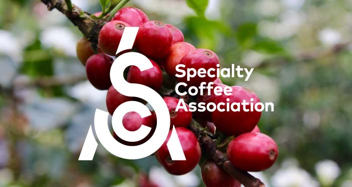 Specialty Coffee Association (SCA) - Hiệp hội Cà phê Đặc sản Thế giới