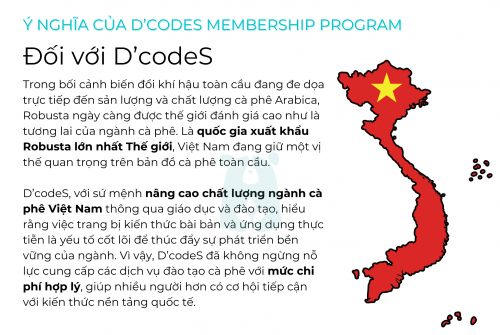 DCODES MEMBERSHIP PROGRAM - GIẢI PHÁP TOÀN DIỆN CHO HÀNH TRÌNH HỌC TẬP