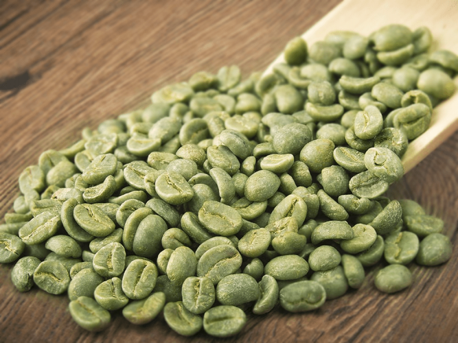 SCA Green bean coffee